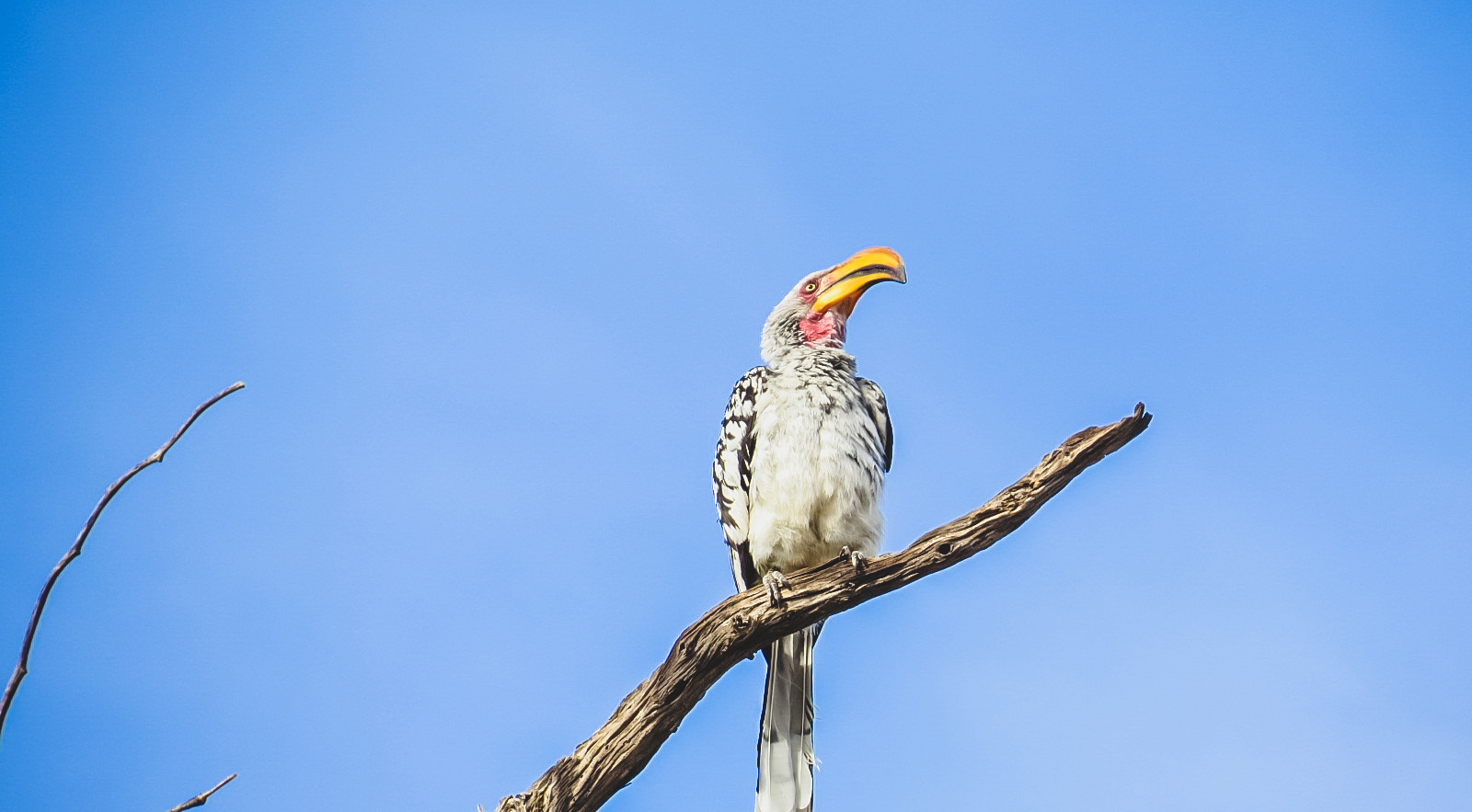 Safari Touren Namibia