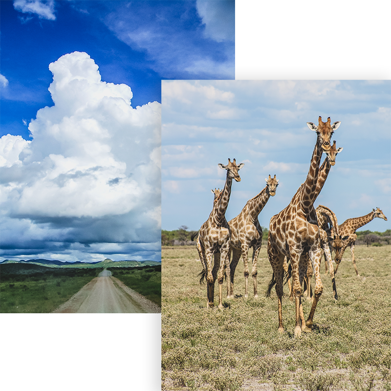 Bundu Tours