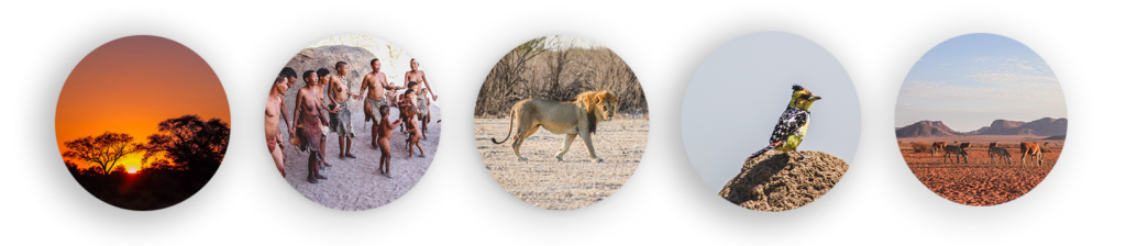 Safari Namibia